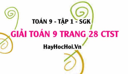 Giải Toán 9 trang 28 tập 1 Chân trời sáng tạo SGK